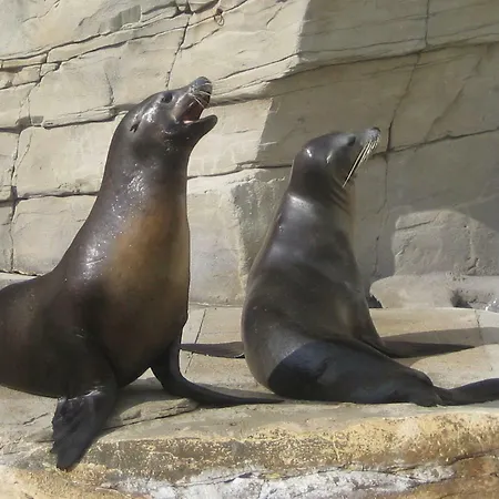 Lumineux T2 Vieille 3 Pers Parking Gratuit - By La Source D'orfee *